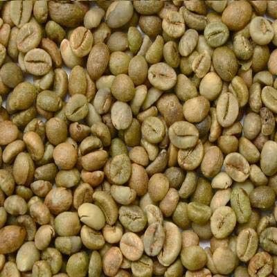 Café robusta